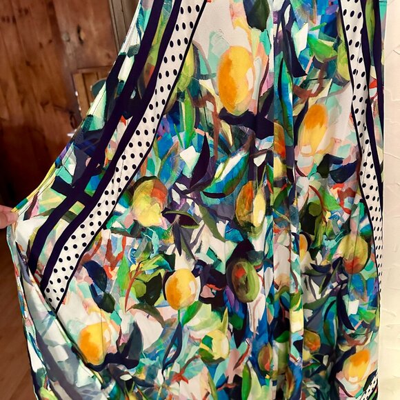 NWOT Simply Art Dolcezza: Orangerie 4 Corners Maxi Dress - Medium - Picture 10 of 15